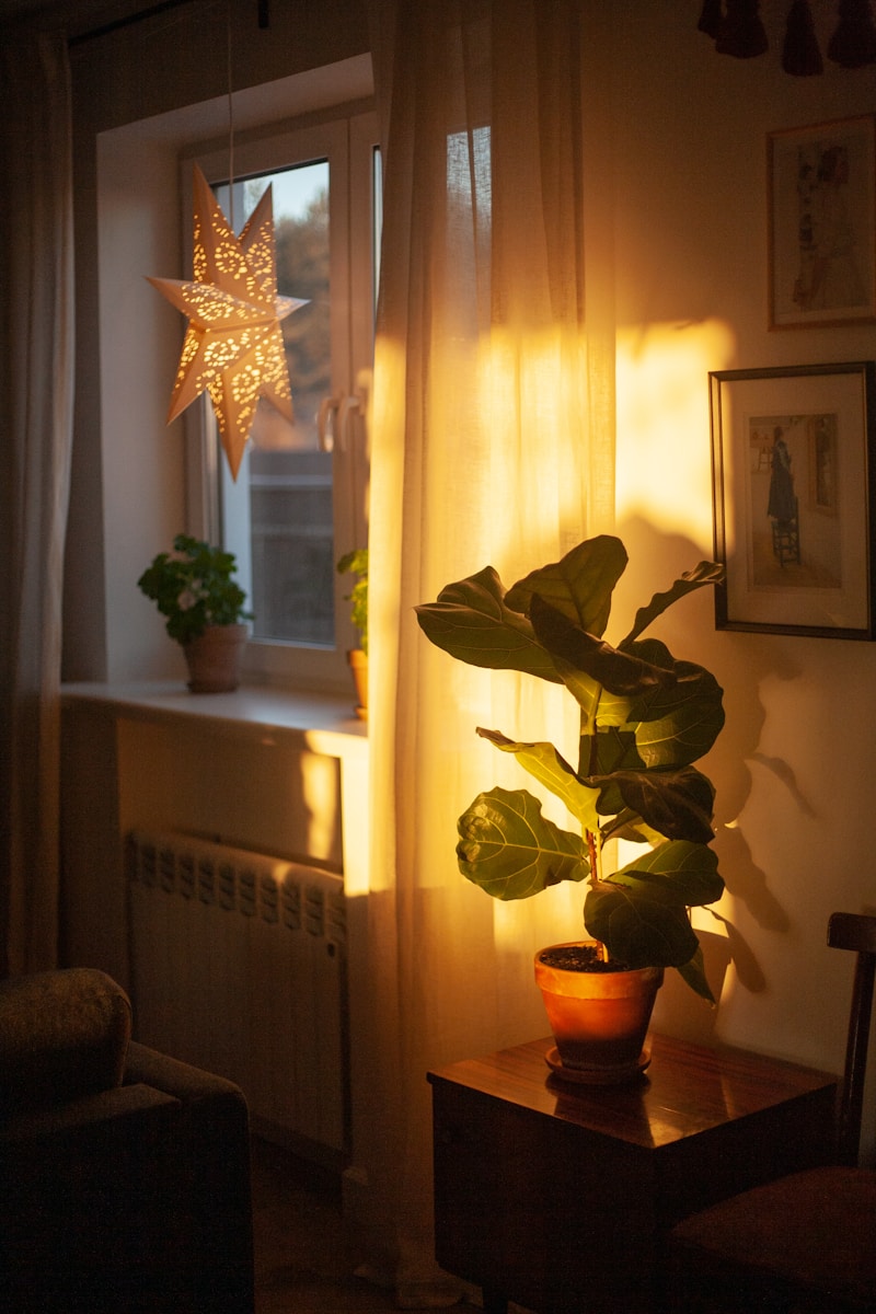 A living room with a potted plant on a table