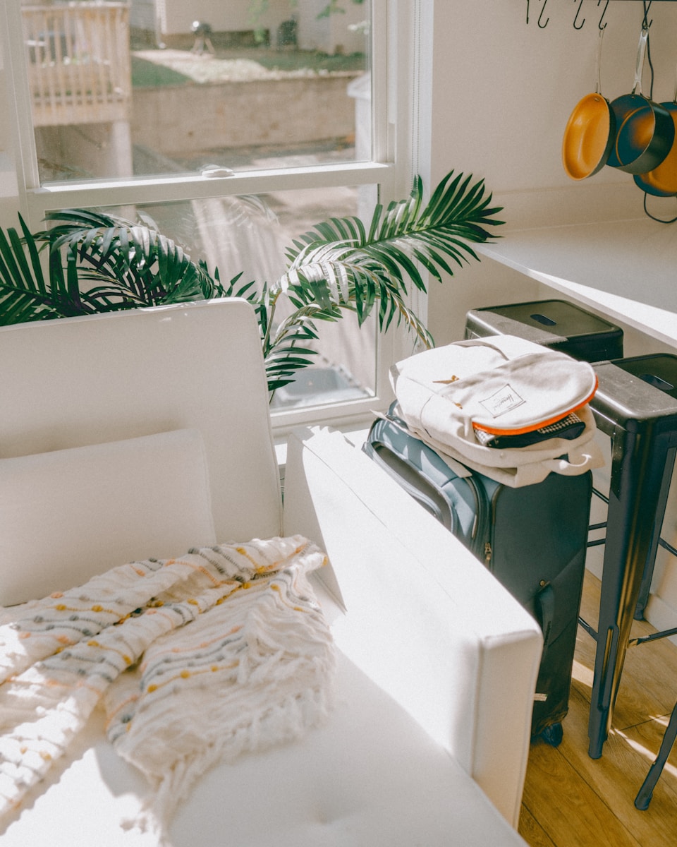 a living room with a white couch and a potted plant